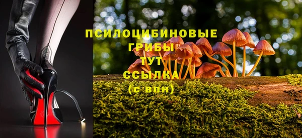 мяу мяу мука Елизово