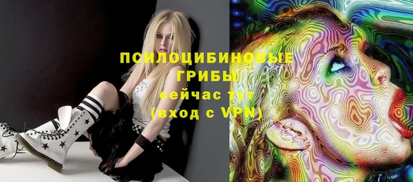 ПСИЛОЦИБИНОВЫЕ ГРИБЫ Магадан