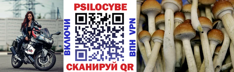 Галлюциногенные грибы мицелий  сколько стоит  Жирновск 